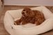 Лежак Harley&Cho Dreamer Fur Milky S 303703 фото 2