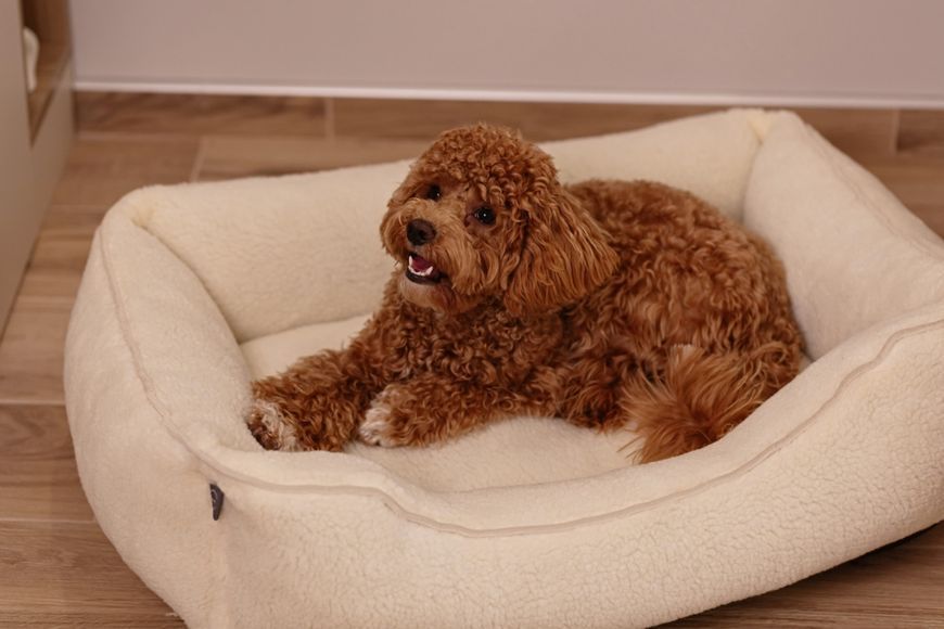 Лежак Harley&Cho Dreamer Fur Milky S 303703 фото