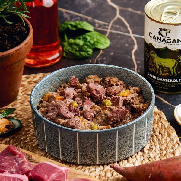 Вологий корм повнораціонний для собак Lamb Casserole &laquo;Рагу з ягнятиною&raquo; 400г, Canagan 52506949 фото
