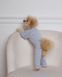 Комбінезон-трансформер у рубчик &ldquo;Four-Paws Bodysuit&rdquo; таш Feel with Fill, М 202183607 фото 2