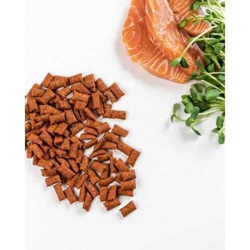 Хрумкі ласощі Savory Cats Snacks Pillows Gourmand with Salmon для дорослих вибагливих котів, 60 г 9024260 фото