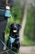 Повідець для собак Horizon Deep Teal Mix Wooly Wolf 414984767 фото 3