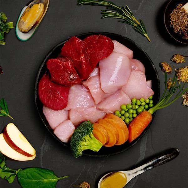 Вологий корм повнораціонний для собак Chicken & Wild Boar &laquo;Курка та дикий кабан&raquo; 400г, Canagan 126955 фото
