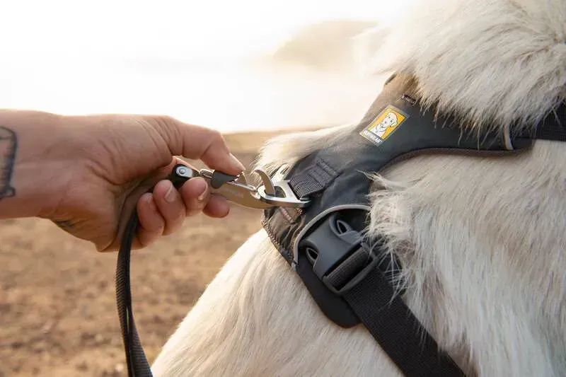 Повсякденна шлейка для собак Ruffwear Front Range&reg; L/XL 81-107 см Сірий 235121 фото
