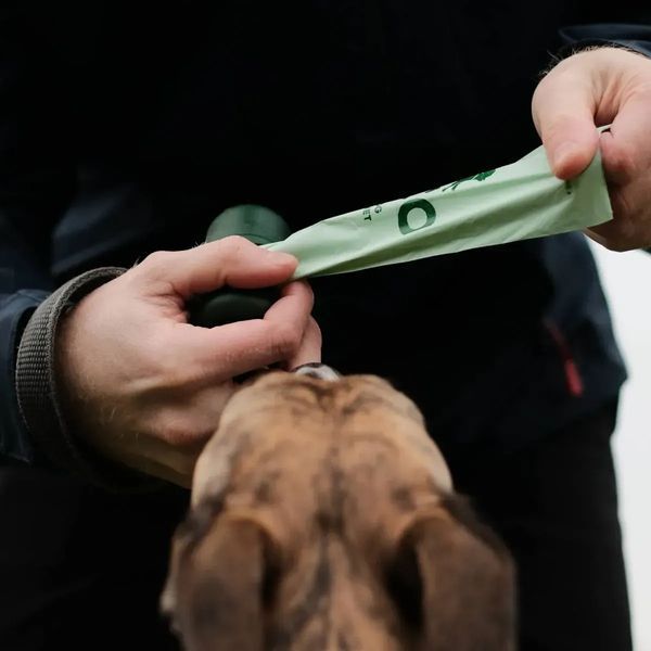 Одноразові пакетики для прибирання за собаками Beco Pets без запаху 540 шт (36 рулонів по 15 шт) 1834566 фото
