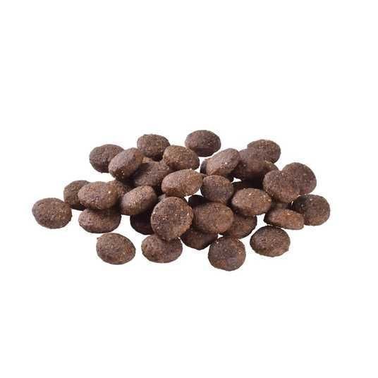 Корм сухий Brit Care Grain-free Junior Large Breed для юніорів великих порід лосось, 3 кг 177685862 фото