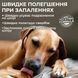 Vet's Best Allergy Itch Relief Spray Спрей для собак з чутливою шкірою, 236мл 477263213 фото 2