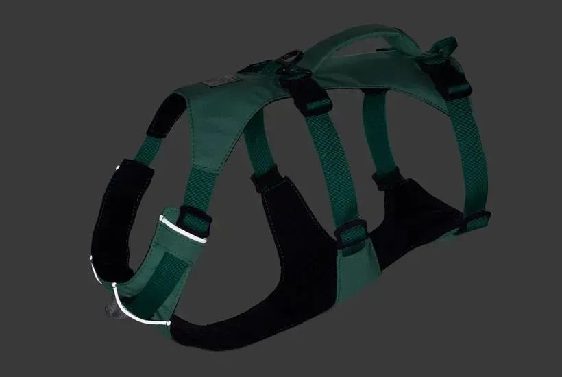 Легка шлейка для собак Ruffwear Flagline XXS 33-43 см Зелений 741855032 фото