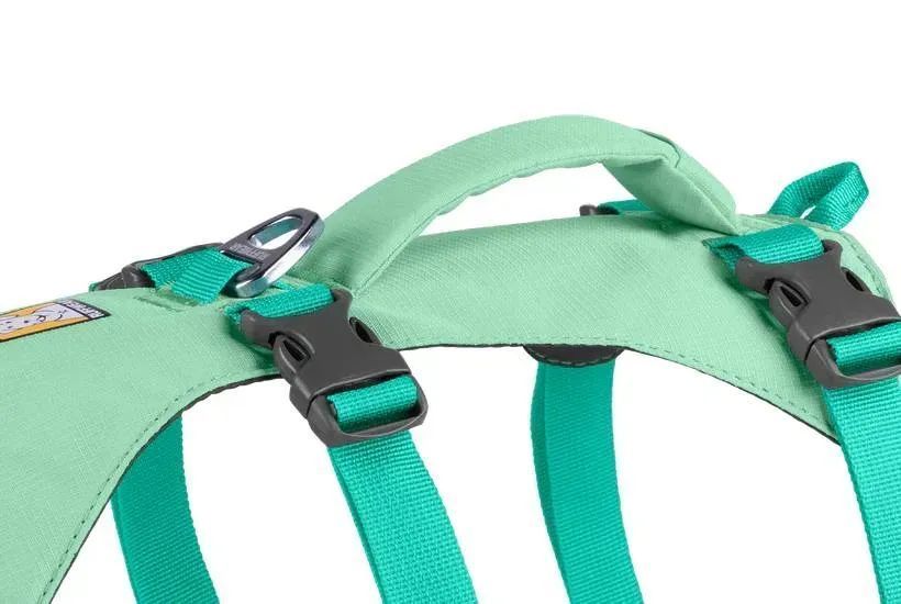 Легка шлейка для собак Ruffwear Flagline XXS 33-43 см Зелений 741855032 фото