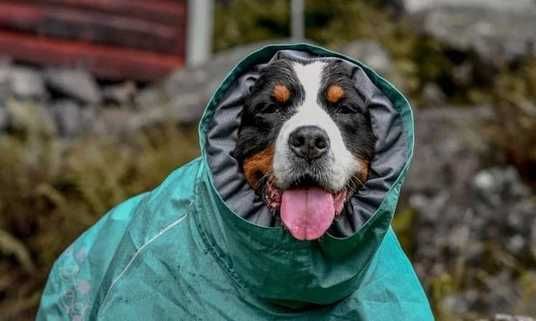 Дощовик для собак Hurtta Monsoon coat II ECO Бірюзовий 30 565314729 фото