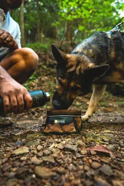 Складна миска для собак Ruffwear Quencher&trade; M Сіро-коричневий 105184 фото