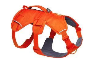 Підтримуюча шлейка для службових собак Ruffwear Web Master&trade; M 69-81 см Яскраво-Помаранчевий 12805085 фото