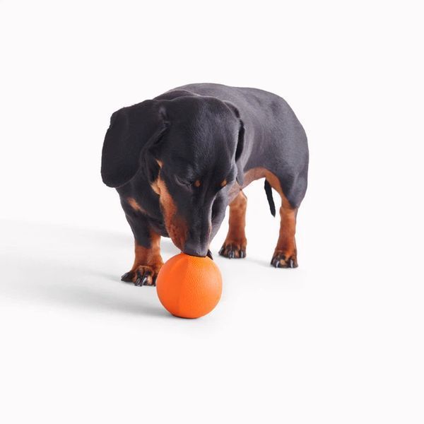 Іграшка м'ячик з отвором для ласощів для собак Beco Pets Fetch Ball Помаранчевий 124581 фото