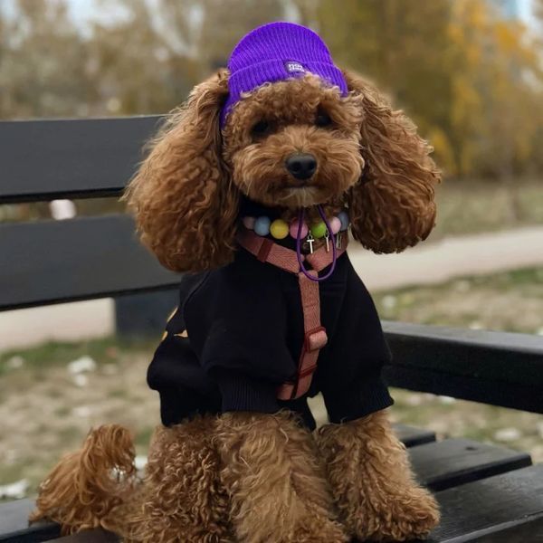 Шапка для собак Hat-Dog акрил Фіолетова M 173776 фото