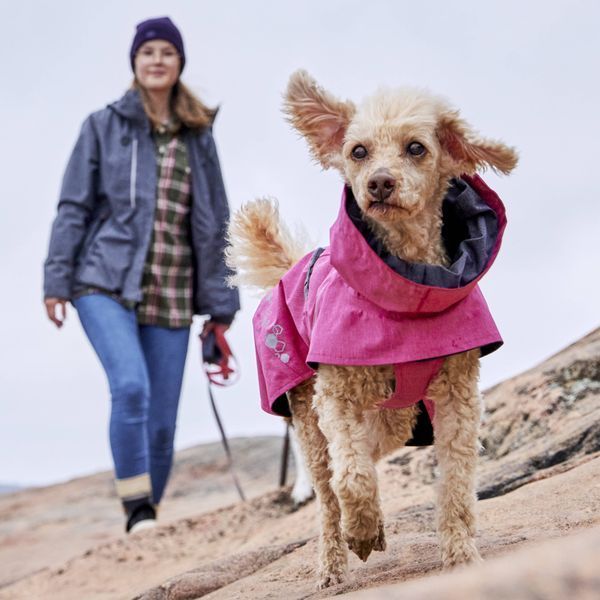Дощовик для собак Hurtta Monsoon coat II ECO Рожевий 55 814124733 фото