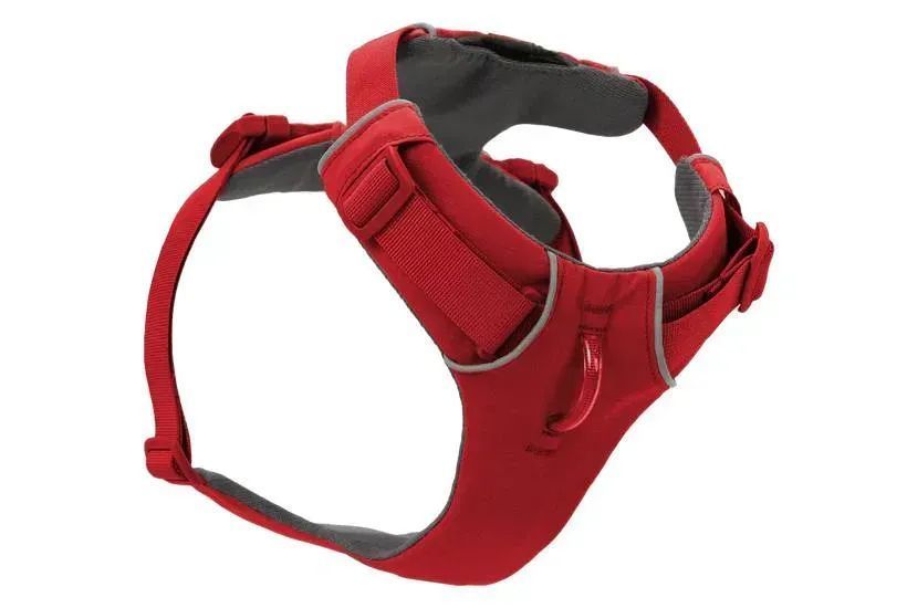 Повсякденна шлейка для собак Ruffwear Front Range&reg; XXS 33-43 см Червоний 0295038 фото