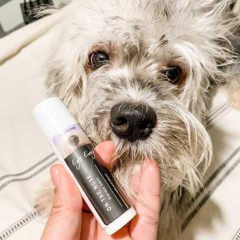 Бальзам для носа Eye Envy On the Nose Therapy Balm, 15 мл стік 165945 фото
