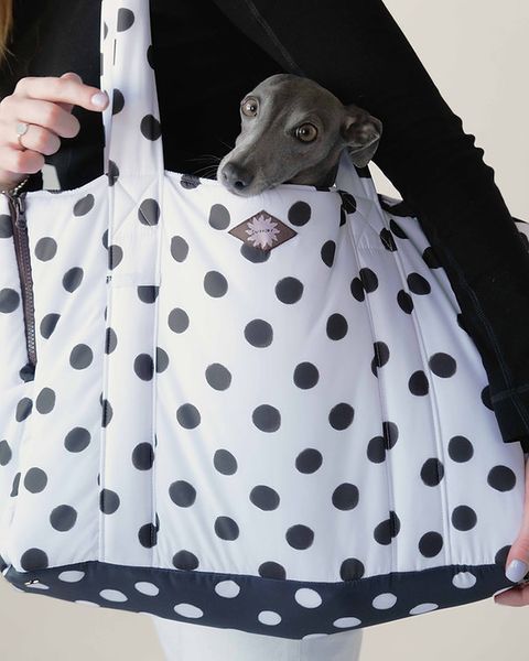Сумка переноска Snousey Dog Travel Bag Cruella з холдером Noir 7736298 фото