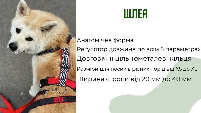 Шлея CUDDO анатомічна зебра + червоний L 30 мм 88573581 фото