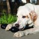 KONG Іграшка для собак Extreme Goodie Bone, M 92594704 фото 3