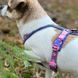 Шлейка для собак Line harness 5 RP signature edition Non-stop dogwear Фіолетовий/Рожевий 6 820444894 фото 2