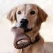 Іграшка для собак Dental Chew Benebone (L, Peanut) 03385697 фото 2