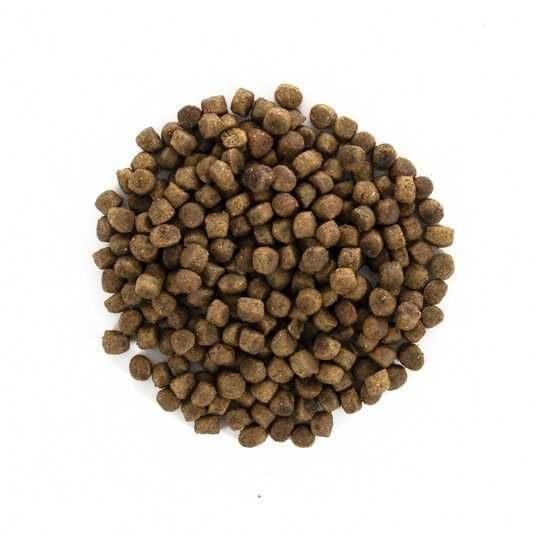 Корм сухий Brit Care GF Kitten Healthy Growth and Development для кошенят курка та індичка, 400г 735015801 фото