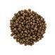 Корм сухий Brit Care GF Kitten Healthy Growth and Development для кошенят курка та індичка, 400г 735015801 фото 2