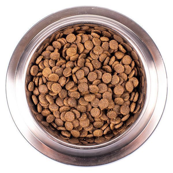 Сухий корм Monge Dog All breeds Puppy & Junior ягня з рисом, 800г 887045350 фото