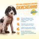 OUT! PetCare Orange Oxy Stain & Odor Remover НадпотужнийЗасіб для видалення плям і запаху від життєдіяльності собак та котів, 945 мл 29153186 фото 2