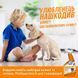 OUT! PetCare Orange Oxy Stain & Odor Remover НадпотужнийЗасіб для видалення плям і запаху від життєдіяльності собак та котів, 945 мл 29153186 фото 5