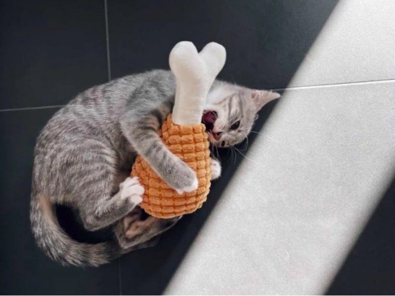 М'яка Іграшка Harley&Cho Гомілка 926854 фото