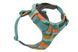 Повсякденна шлейка для собак Ruffwear Front Range M 69-81 см Бірюзово-жовто гарячий 60355153 фото 2
