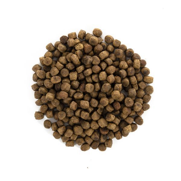 Корм сухий Brit Care GF Indoor Anti-stress для домашніх котів антистрес курка, 400г 9235815 фото