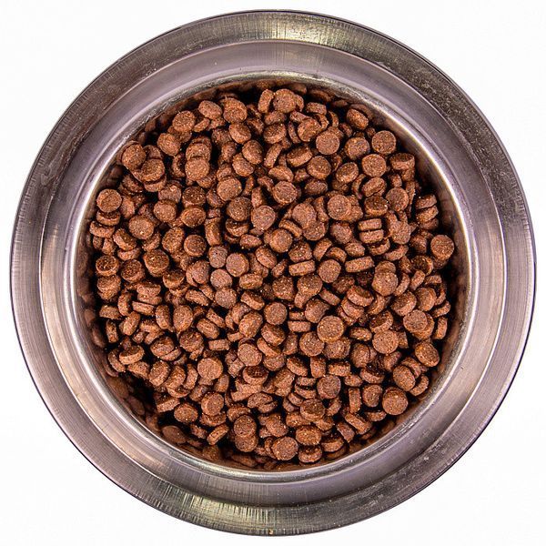 Сухий корм Monge Dog Medium Starter для собак від 10кг до 80кг, 1,5кг 17515362 фото