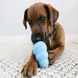 KONG Іграшка для собак Puppy, M 240073248 фото 2