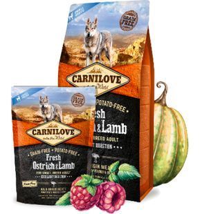 Корм сухий Carnilove Fresh Ostrich and Lamb for Small Breed Dogs зі страусом та ягнятиною, 1,5 кг 4105766 фото