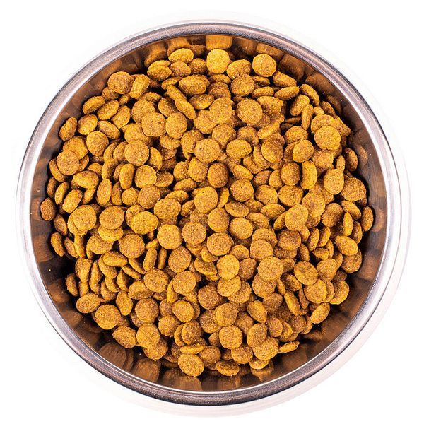 Сухий корм Monge Cat Sterilised с фореллю, 1,5кг 591795314 фото