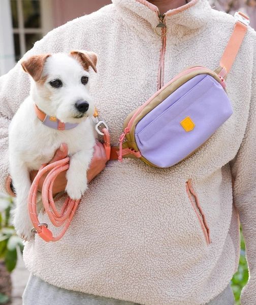 Сумочка поясна для про гулянок Alpha 360 Hip Pack Lavender Mix Woolly Wolf 092004758 фото