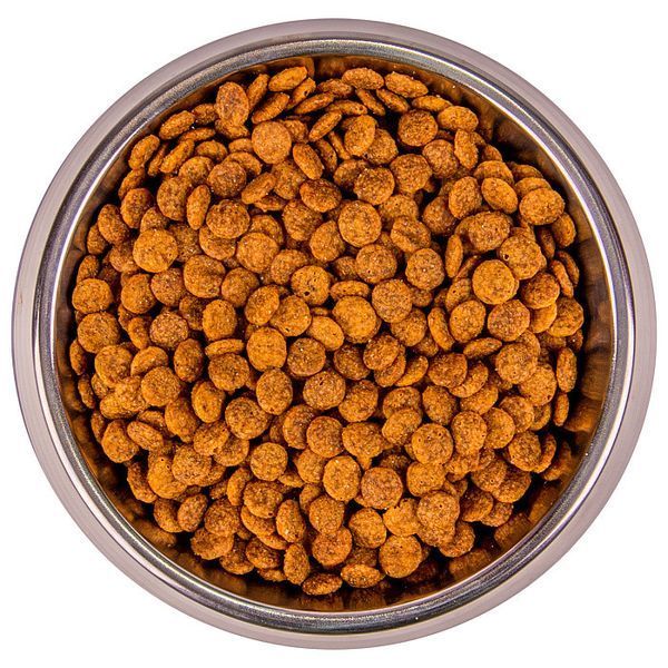 Сухий корм Monge Cat Urinary, 1,5кг 406005366 фото